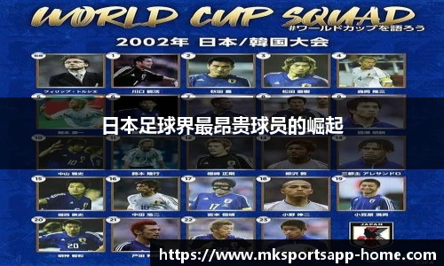 MK体育官网