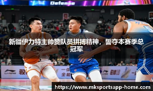 MK体育官网