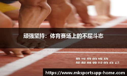 MK体育官网